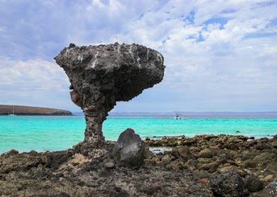 Check out mushroom rock at La Paz Playa Balandra